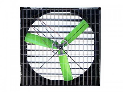 Green Fans