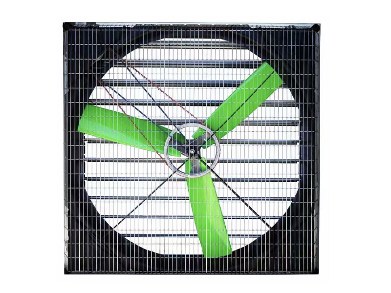 Green Fans